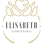 Logo de floristeriaencolombia.com.co